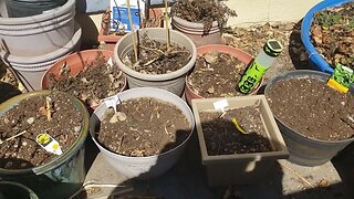 The big cleanup, garden planting, & some home updates