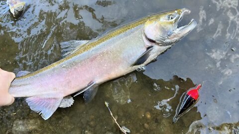 Float Fishing For Coho + Bonus Fish / Skein & Beads / The Tail End Of The 2022 Michigan Salmon Run