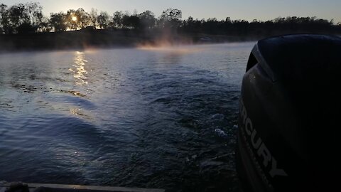 Fishing The Trees at Somerset Dam (Yellowbelly and Bass Fishing Somerset Dam)