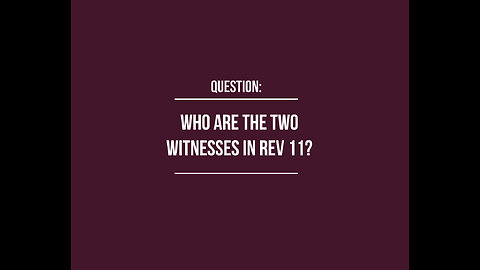 Who are the two witnesses in Revelation 11?