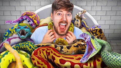Would You Sit In Snakes For $10,000?