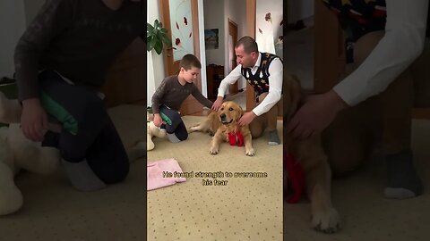 My Dogs Bring the Christmas Miracle in Children's Homes