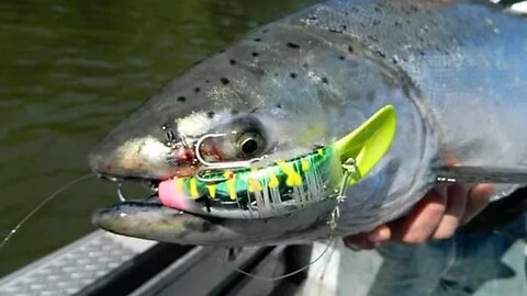 "How to" | Prepping & Tuning Salmon Fishing Plugs for Spring Chinook