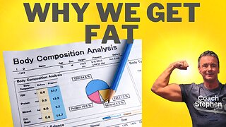 Why We Get Fat Part 1: How The Body Digests Food. A Series In Simple Steps