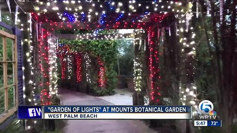 New 'Gardens Of Lights' event hits Mounts Botanical Garden