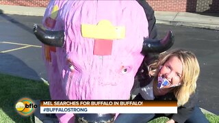 Mel Camp searches for Buffalo's