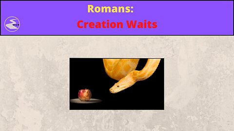 Romans: Creation Waits