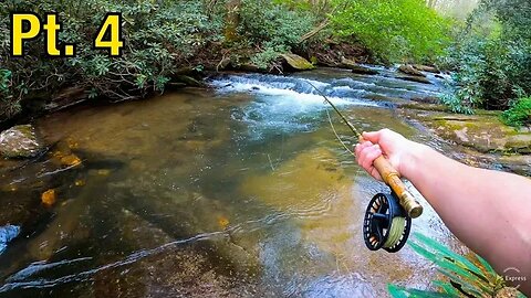TROUT FISHING and CAR CAMPING in the Mountains! || North Georgia Trout Pt. 4