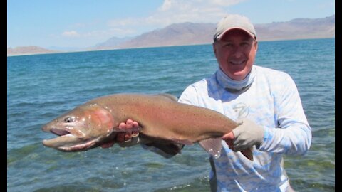 Lahonton Cutthroat Trout