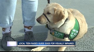 Boise teen trains dogs for visually impaired