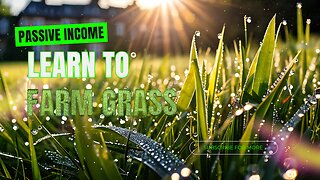 Passive Income stream Via GRASS Token Farming / Get Paid for Unused Internet.