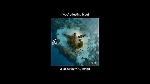 If you’re feeling blue? Just swim to Turtle Island