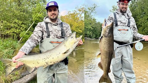 Catching Wisconsin Hatchery King Salmon In Michigan Rivers / River Fishing For Great Lakes Run Kings