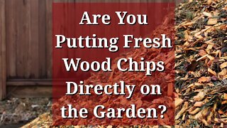 Fresh Wood Chips Directly on the Garden