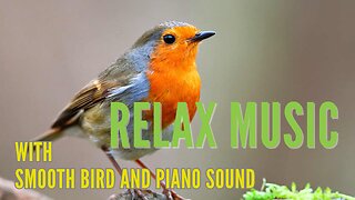 Relaxing Music | Soothing Bird Sounds and Piano Melodies | Relax Sleep Music