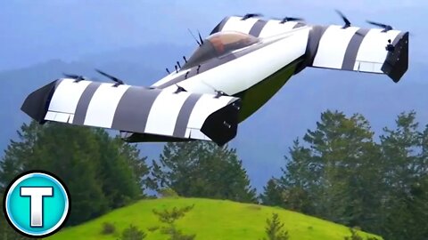 Blackfly Flying Car