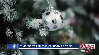 Time to Trash the Christmas Tree
