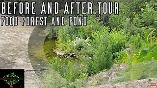 Before and After Food Forest and Aquascape Ecosystem Pond video - as part of a site wide tour!