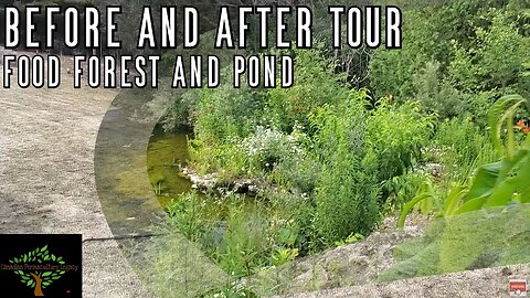 Before and After Food Forest and Aquascape Ecosystem Pond video - as part of a site wide tour!