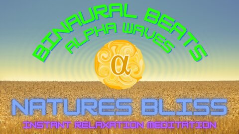 Nature Bliss | Alpha Wave Binaural Beats | Relaxation, Mindfulness, Meditation | Bird Song At River