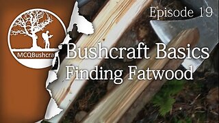 Bushcraft Basics Ep19: Finding Fatwood Tinder