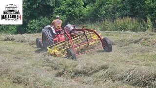 Our Hay Making Journey (SHORT VIDEO)