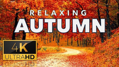 Relaxing Autumn Season With Soothing Music