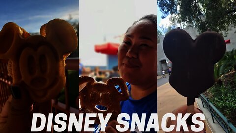 Trying Some Iconic Disney Snacks at Disney World