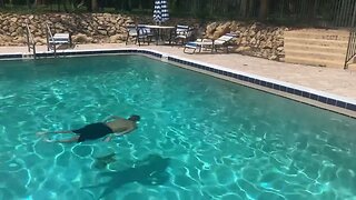 Pool swim underwater