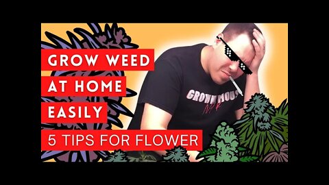 Our BIGGEST Tips For Flower! #growingmarijuana #marijuana