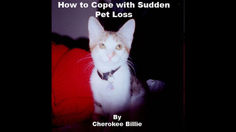 How to Cope with Sudden Pet Loss