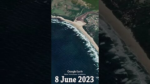 Sardines at Cintsa report 8 June 2023