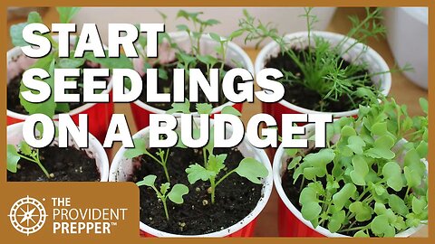 Survival Garden: Inexpensive Ideas to Start Seedlings Early