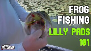 Frog Fishing Lilly Pads 101