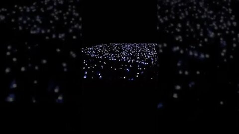 The best part of BTS Busan concert 🤩✨✨💜💜#btsbusanconcert2022 #busanconcert2022