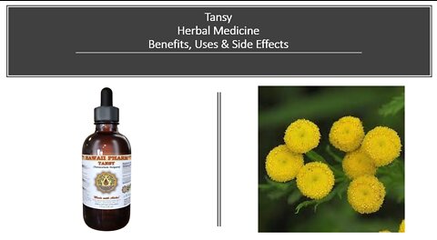 Tansy - Herbal Medicine - Benefits, Uses & Side Effects