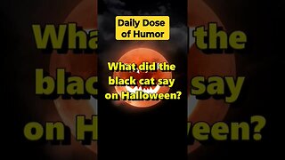 "What did the black cat say on Halloween?" #shorts #Funny #Subscribe