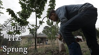 Spring Has Sprung!!!/ Planting Ground Cover/ Getting Our Tractor Our Of The Mud!!!/ VLOG DAY