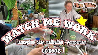 My Essential Houseplant Tools | Watch Me Work ep.1