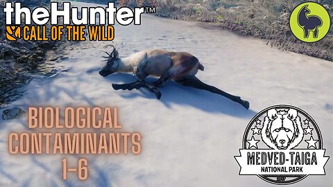 Biological Contaminants 1-6 Medved Taiga | theHunter: Call of the Wild (PS5 4K)