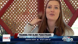 How drivers can work with blind pedestrians for smoother interactions