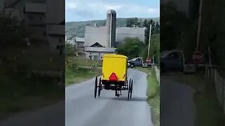 Yellow Amish Buggy