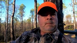 Alabama Deer Hunt in December. Where Are The Bucks?