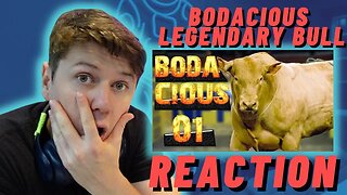 IRISH MAN REACTS to🐂 BODACIOUS ⭐ LEGENDARY BULL