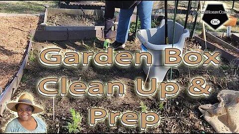 #garden Box #clean Up - #catshobbycorner