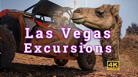 Las Vegas Excursions - Valley of Fire, Red Rock Canyon, Boulder City