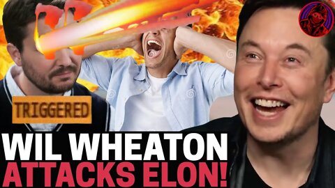 Star Trek Host Wil Wheaton Has COMPLETE MELTDOWN Over Elon Musk! Claims New Twitter Will HARM PEOPLE