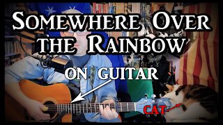 Somewhere Over the Rainbow on Guitar (with my cat) - Wizard of Oz