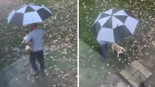 Dad who didn't want a dog takes pup outside with an umbrella