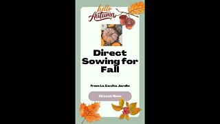 Direct Sowing for Fall